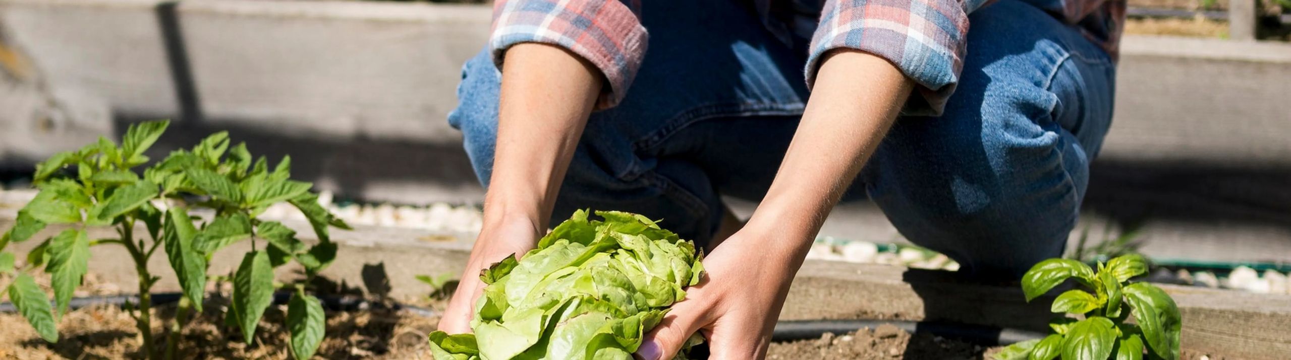 Engagement de qualité des produits locaux